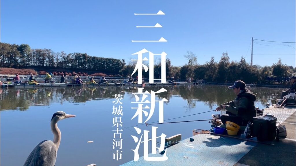 いつも高活性な三和新池でへらぶな釣り