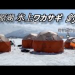 シーズンラスト釣行！夫婦でワカサギ釣り#桧原湖ワカサギ釣り