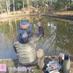 なごり雪も最後かな？  もう春ですね！  フナ釣りが面白い！横浜市 都筑区 山崎公園で小物釣り。