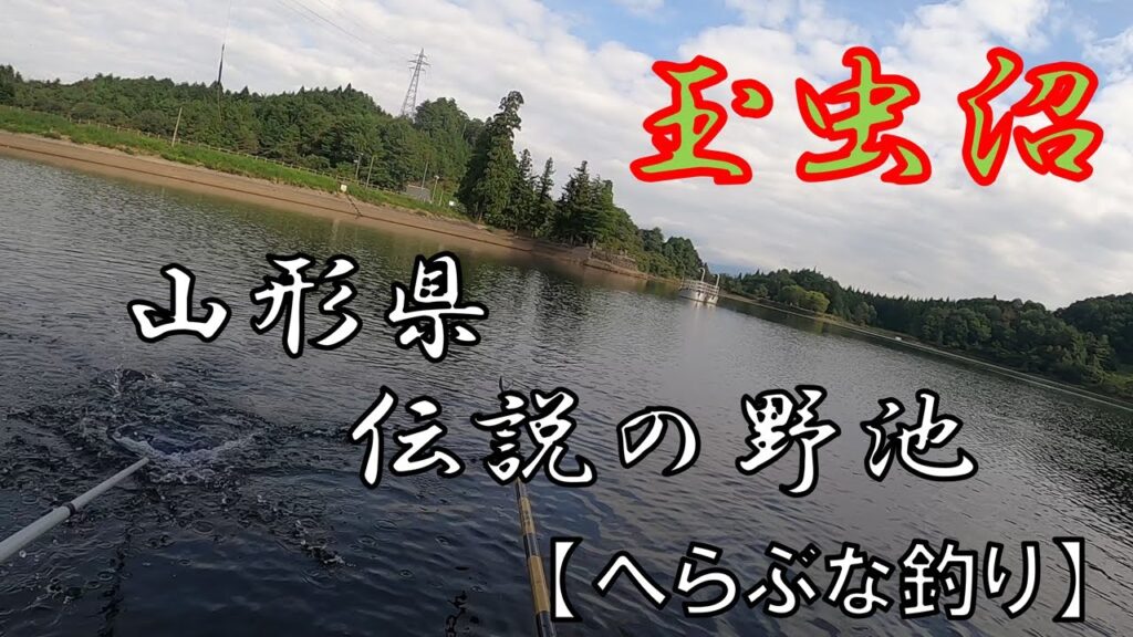 【へらぶな釣り】山形県・伝説の野池「玉虫沼」