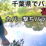 花見川でバス釣り　千葉県　印旛沼水系