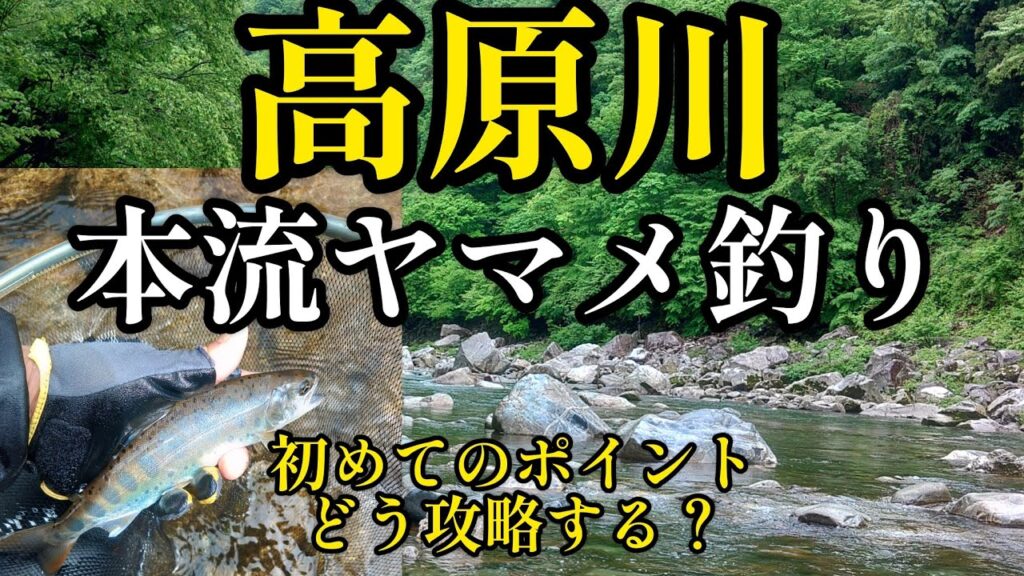 高原川。本流ヤマメ釣り‼️初めてのポイントをどう攻略する？