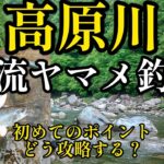 高原川。本流ヤマメ釣り‼️初めてのポイントをどう攻略する？