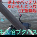 牛久沼でスピナーベイトだけ持ってブタバス狙ったら、ありえない一日になりました