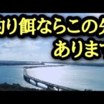 【浜名湖釣り場偵察】🎣餌釣りハイシーズン間近！必ず知っておきたい浜名湖の釣具店さん🐟