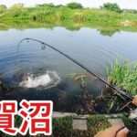 【手賀沼】見えバスだらけでめっちゃ楽しい❗️✨^ ^