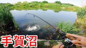 【手賀沼】見えバスだらけでめっちゃ楽しい❗️✨^ ^