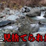 なぜ漁協から一度も放流されたことがないのか、その謎に迫ってみました【渓流釣り】