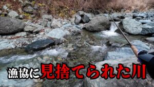 なぜ漁協から一度も放流されたことがないのか、その謎に迫ってみました【渓流釣り】