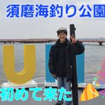 【須磨海釣り公園】リニューアルした須磨の海釣り公園に初めて来ました！