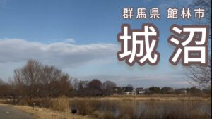 乗っ込み寸前！城沼で春のへら鮒釣り