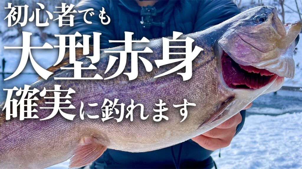 【大物天国】この池にルアーを投げれば『確実に』赤身の極上サーモンが釣れます【エリアトラウト】【管理釣り場】【あいづフィッシングエリア】