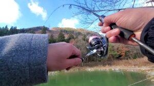 モンスタートラウト『グランディ』を狙え!【エリアトラウト】