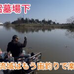 びん沼墓場下へらぶな釣り！もう両団子でも釣れるみたい！季節の進行が一気に進みました！