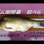 へらぶな釣り　巨べら狙いのダム湖開幕！へら浮きの使い方のイメージが広がる【ハイブリッド・トップ】【クリアリートップ】　今回はロング太ＰＣムクトップ仕様も！使い方説明しております！参考にどうぞ！