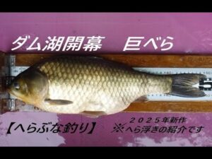 へらぶな釣り　巨べら狙いのダム湖開幕！へら浮きの使い方のイメージが広がる【ハイブリッド・トップ】【クリアリートップ】　今回はロング太ＰＣムクトップ仕様も！使い方説明しております！参考にどうぞ！