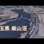 柴山沼でちょい投げ 公園釣りでバスを狙う