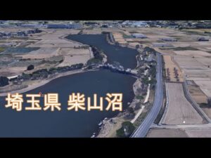 柴山沼でちょい投げ 公園釣りでバスを狙う