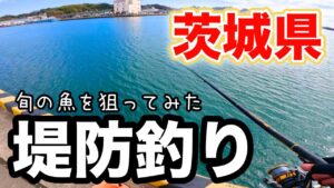 茨城の漁港でのんびり堤防釣り この小さなアタリがクセになる…旬の美味しい魚を狙ってみた!