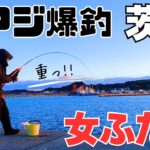 爆釣‼止まらない巨大アジにパニくる女ふたり！茨城堤防の朝