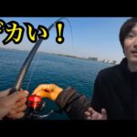 春の浜名湖へ乗っ込みを求めて釣りに行ってきました🔥