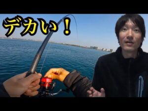 春の浜名湖へ乗っ込みを求めて釣りに行ってきました🔥