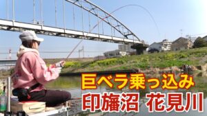 巨ベラが釣れる穴場フィールドで両グルテン底釣り！奇跡的にヘラブナが釣れた【花見川 印旛沼】