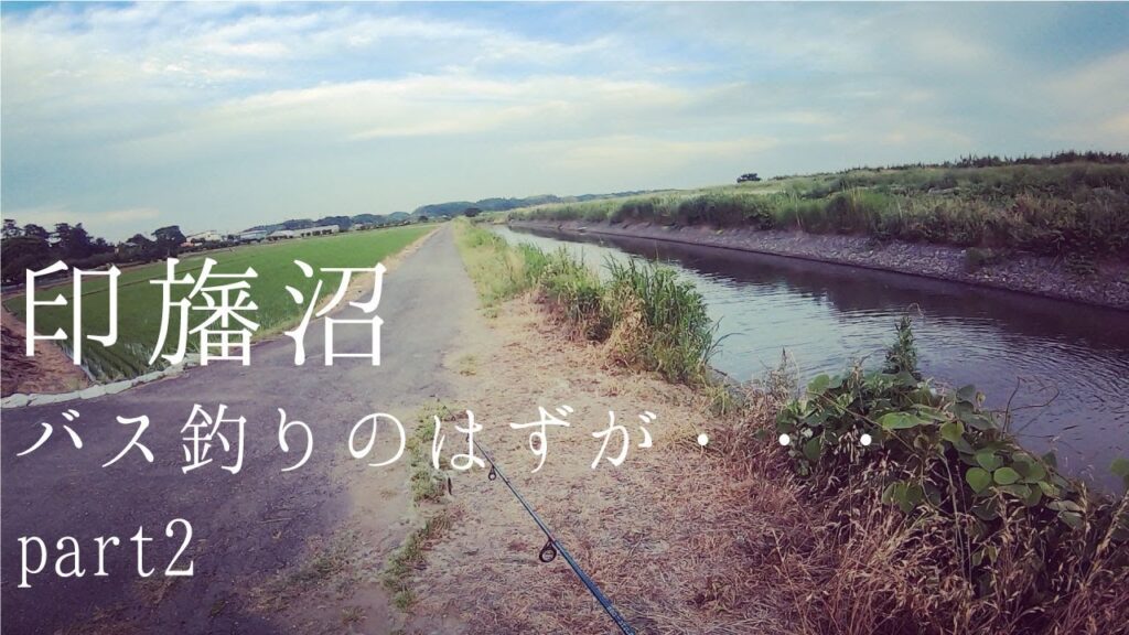 【バス釣り】印旛沼へいこう！バス釣りが難しい件