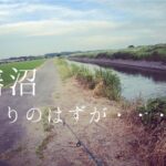 【バス釣り】印旛沼へいこう！バス釣りが難しい件