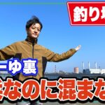 【ふれーゆ裏】東扇島西公園や大黒海釣り施設より空いている！一度入った魚が抜けにくい地形的特長