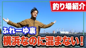 【ふれーゆ裏】東扇島西公園や大黒海釣り施設より空いている!一度入った魚が抜けにくい地形的特長