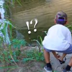 ミミズでブラックバスが入れ食いする川を見つけた