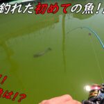 なんだ？この魚！？初めて釣れました！！
