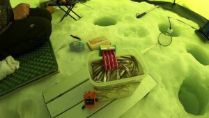 桧原湖氷上ワカサギ釣り。とんでもない物が釣れちゃいました‼