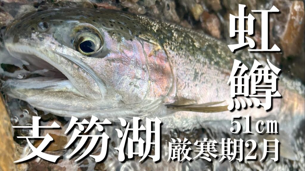 【支笏湖釣り】トラウトトレジャーハンター!!