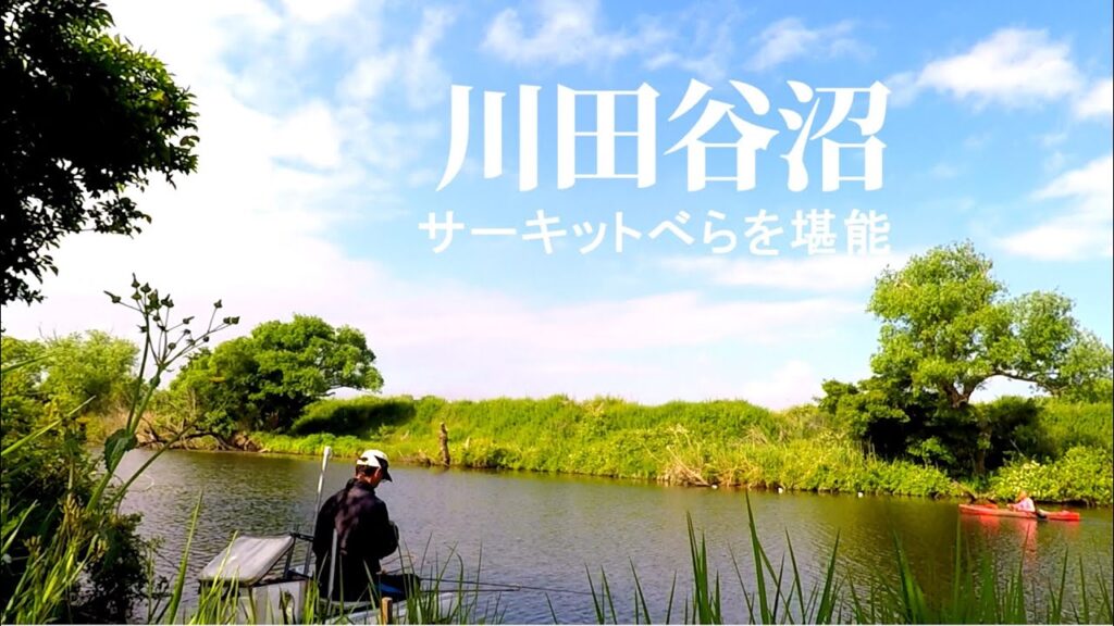 【川田谷沼】サーキットべらを堪能する！埼玉県桶川市。へらぶな釣り。