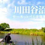 【川田谷沼】サーキットべらを堪能する！埼玉県桶川市。へらぶな釣り。