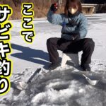 幻の魚が釣りたくて