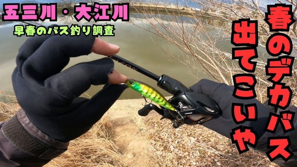 [バス釣り] 超絶激戦区で早春のデカバスを見つけ出せ！[五三川] [大江川]