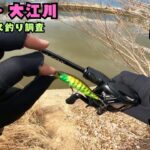 [バス釣り] 超絶激戦区で早春のデカバスを見つけ出せ！[五三川] [大江川]