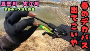 [バス釣り] 超絶激戦区で早春のデカバスを見つけ出せ！[五三川] [大江川]