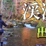渓流釣り いよいよ解禁！【餌釣りのいろいろ】