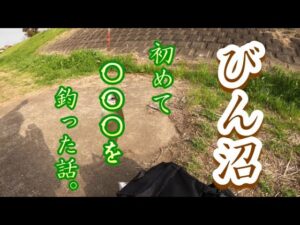 【小物釣り】びん沼で初めて〇〇〇を釣った！