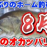 【印旛沼水系】夏攻略!時合!?条件!?タイミング!? バス釣り バスフィッシング【印旛沼】