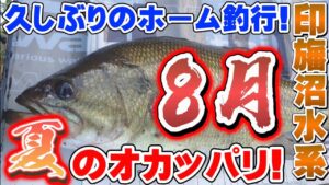 【印旛沼水系】夏攻略!時合!?条件!?タイミング!? バス釣り バスフィッシング【印旛沼】