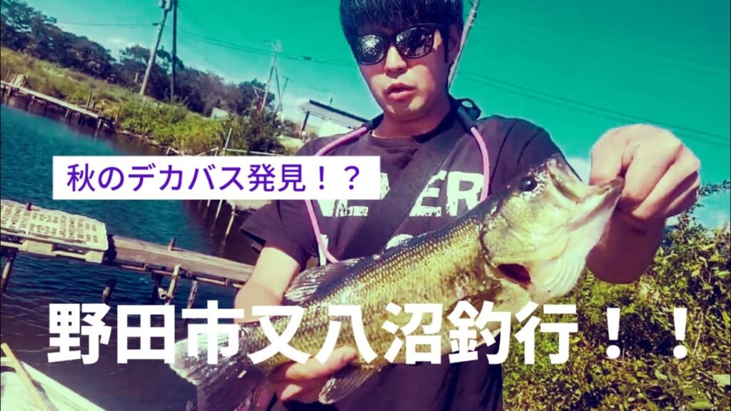 【バス釣り】【又八沼】【八間堀親水広場】野田市の沼で釣りしたらデカバス発見！？