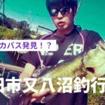 【バス釣り】【又八沼】【八間堀親水広場】野田市の沼で釣りしたらデカバス発見！？