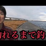 真冬の浜名湖へ釣れるまで釣りに行く🔥