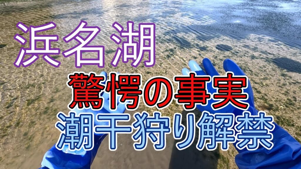 浜名湖潮干狩り解禁日なのにまさかの結果