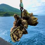 カメノテをエサにしたら化け物が釣れてしまった…